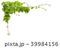蔦の枠 39984156