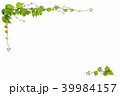 蔦の枠 39984157