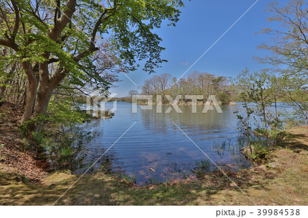 Idyllic lake in Japan. Lake Onuma,Hakodate 39984538