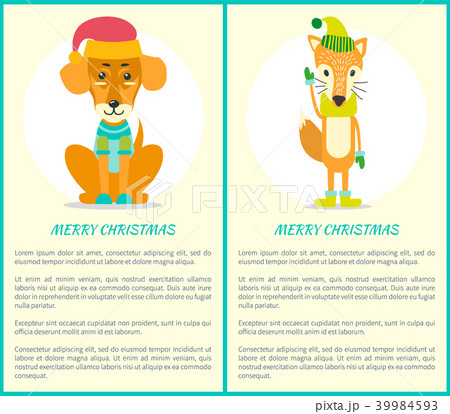 Merry Christmas Greeting Card Dog Sweater Fox Hat 39984593