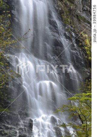 【兵庫県 養父市】天滝(日本の滝百選) 【兵庫県 養父市】天滝(日本の滝百選) 39984756