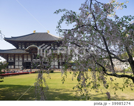 東大寺 奈良 晴れ 39985274