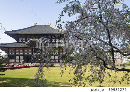 東大寺 奈良 晴れ 39985275