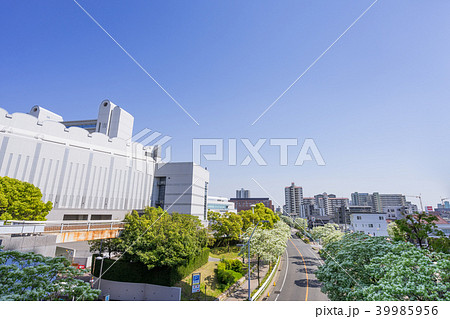 名古屋都市風景 名古屋国際会議場となんじゃもんじゃの写真素材