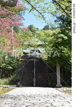 松尾寺　参道　本堂　西国三十三所第29番札所 39986598