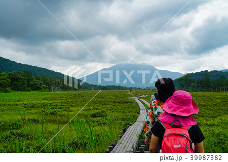 尾瀬を進む 39987382