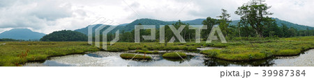 尾瀬の風景（パノラマ写真） 39987384
