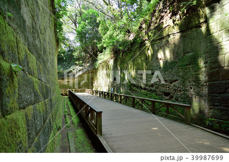 横須賀市　猿島 39987699