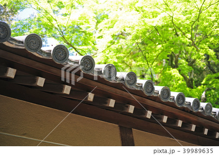 仙洞御所の築地塀-2 39989635