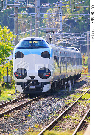 パンダくろしお号JR287 Panda face Express Train Kuroshio 86 パンダくろしお号JR287 Panda face Express Train Kuroshio 86 39990255