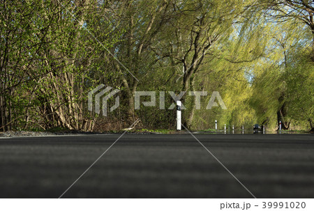 Spring trip in a tree avenue with car 39991020