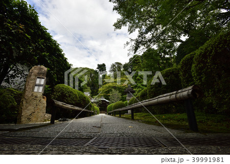 金戒光明寺塔頭　栄摂院 39991981