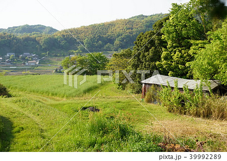 日本の田舎風景の写真素材