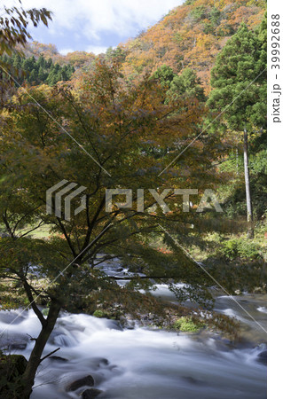 荒俣峡の紅葉 石川県小松市 荒俣峡の紅葉 石川県小松市 39992688