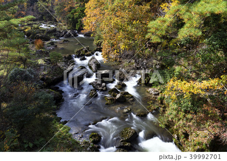 荒俣峡の紅葉　石川県小松市 39992701