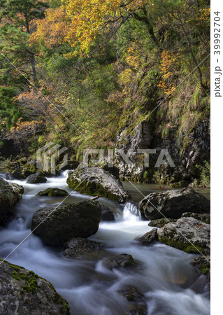 荒俣峡の紅葉 石川県小松市 荒俣峡の紅葉 石川県小松市 39992704