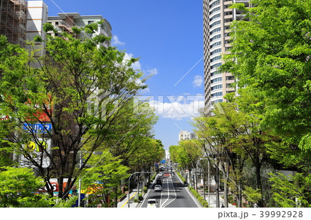 武蔵小杉駅前風景　新緑 39992928