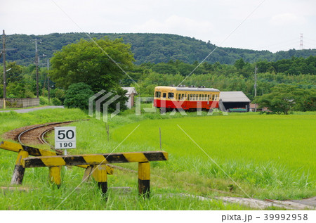 小湊鐵道 39992958