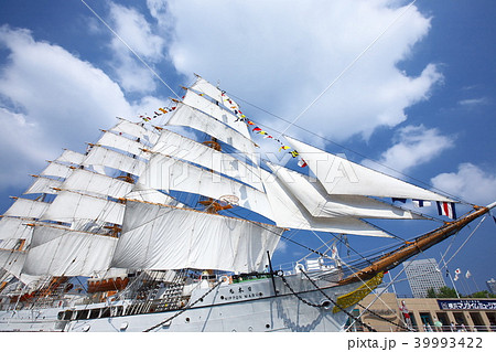 帆船日本丸  総帆展帆&満船飾 39993422