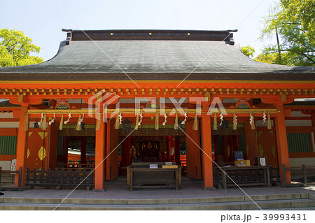 筑前國一之宮 住吉神社/福岡県福岡市博多区住吉3丁目 筑前國一之宮 住吉神社/福岡県福岡市博多区住吉3丁目 39993431