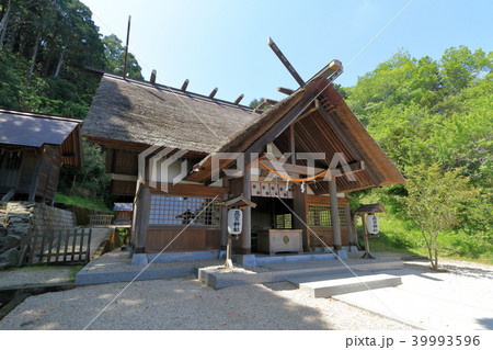 高家神社(南房総市) 39993596