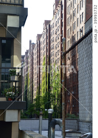 ニューヨーク 39993732