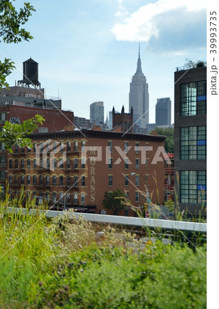 ニューヨーク 39993735