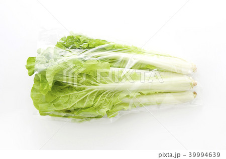 山東菜 袋入り 山東菜 袋入り 39994639