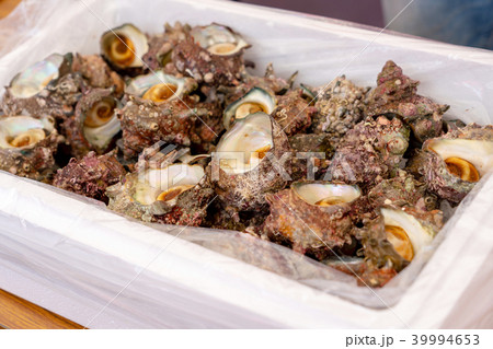 天然活サザエ 天然活サザエ 39994653