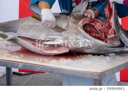 生マグロの解体ショー 生マグロの解体ショー 39994661