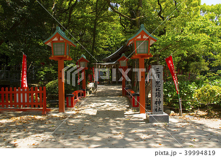三日恵比須神社/福岡県福岡市博多区住吉3丁目 三日恵比須神社/福岡県福岡市博多区住吉3丁目 39994819