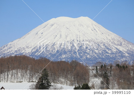 ニセコ町、黒川地区から見る羊蹄山 39995110