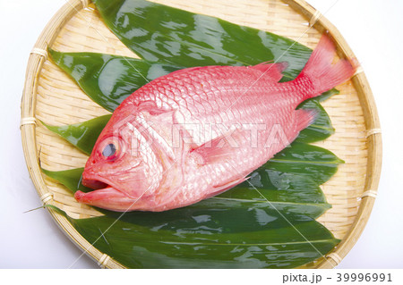 エビスダイ　食材 39996991