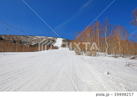 奥志賀高原スキー場 39998257