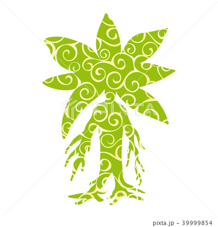 Mandragora plant pattern silhouette ancient mythical fantasy 39999854