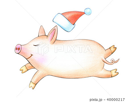 Funny running pig cartoon and Christmas hat. Funny running pig cartoon and Christmas hat. 40000217