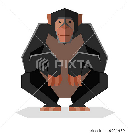 Flat geometric Chimpanzee Flat geometric Chimpanzee 40001989