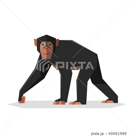 Flat geometric Chimpanzee 40001990
