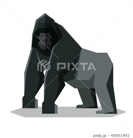 Flat geometric Gorilla 40001992