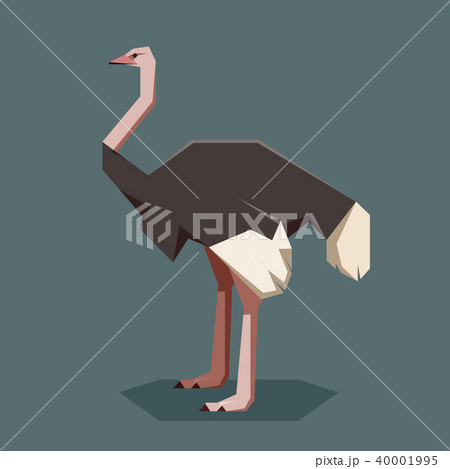 Flat geometric Ostrich 40001995
