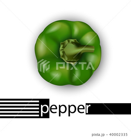 3d realistic green bell pepper top view. 40002335