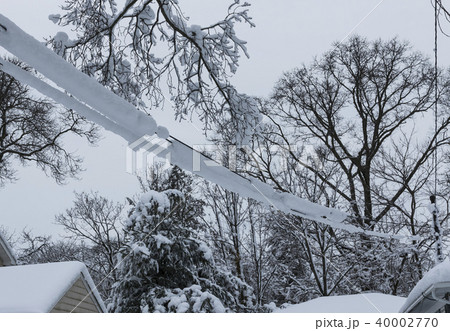 Spring snow covering electric wires 40002770