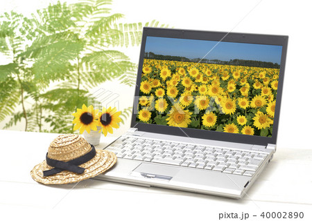 ひまわりとPC 40002890