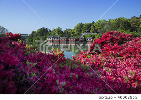 長岡天満宮/八条が池 40003955