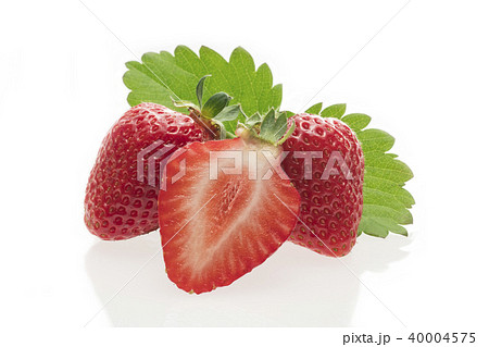 イチゴ イチゴ 40004575