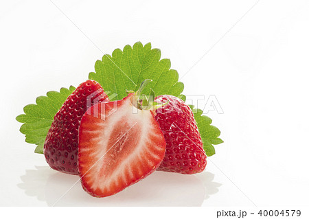 イチゴ イチゴ 40004579