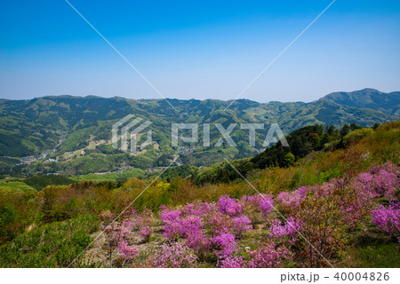 美の山 ツツジ咲く斜面から臨むの東秩父村方向の山肌　c 40004826