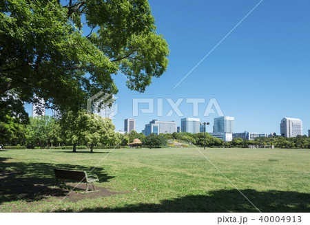高層ビルが見える広い公園 40004913