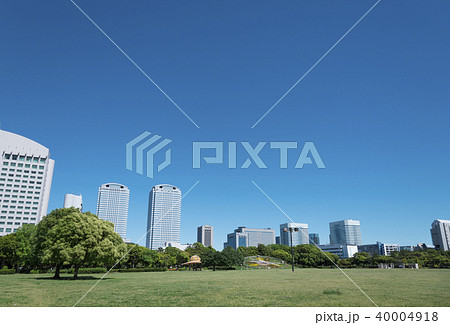 高層ビルが見える広い公園 40004918