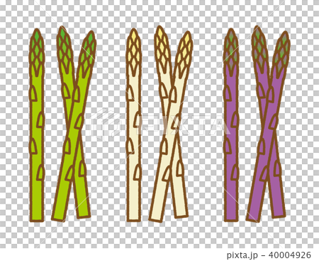 アスパラガス_茶色ライン 40004926